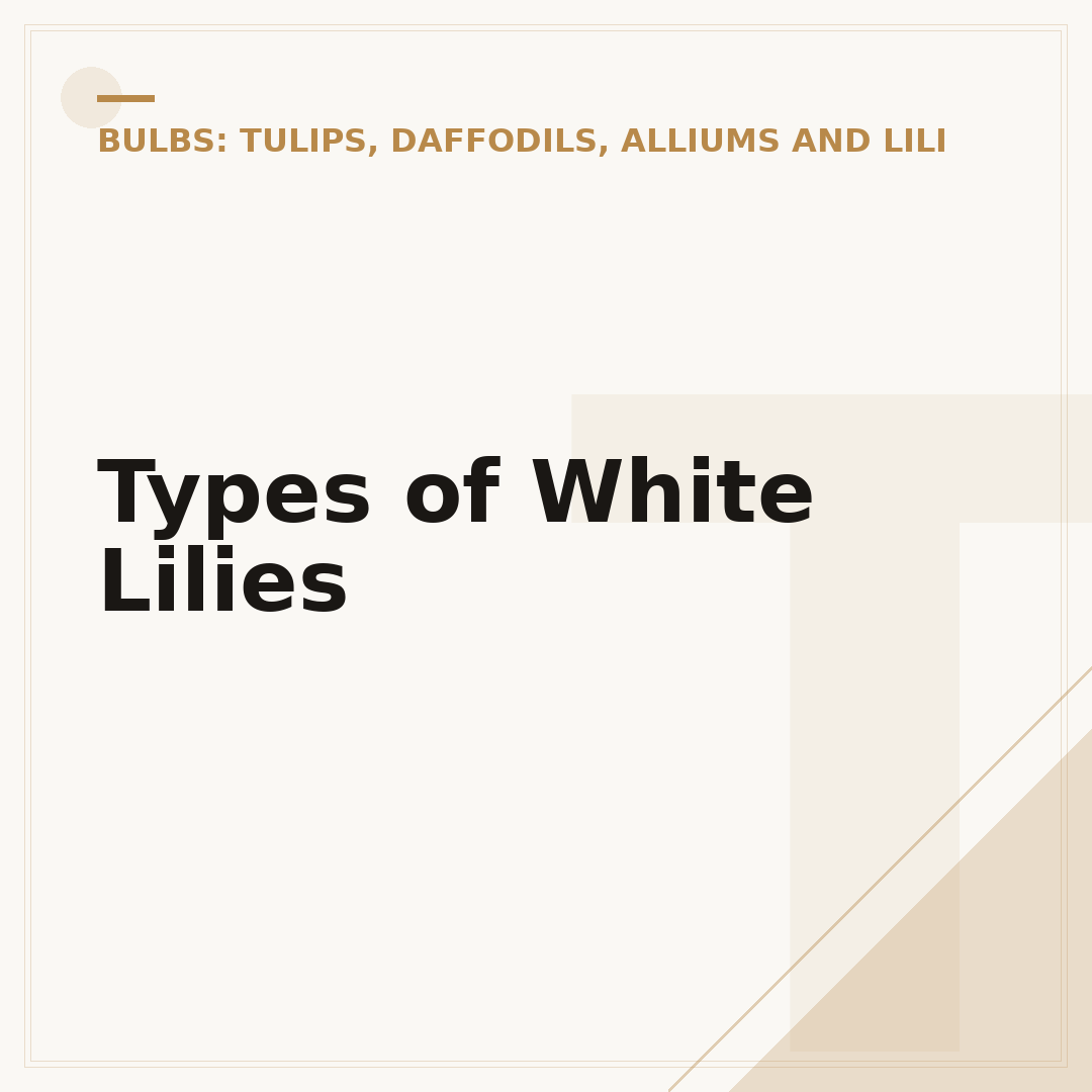 Types of White Lilies