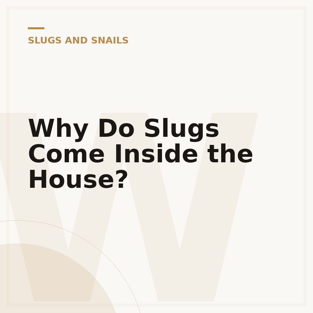 Why Do Slugs Come Inside the House?