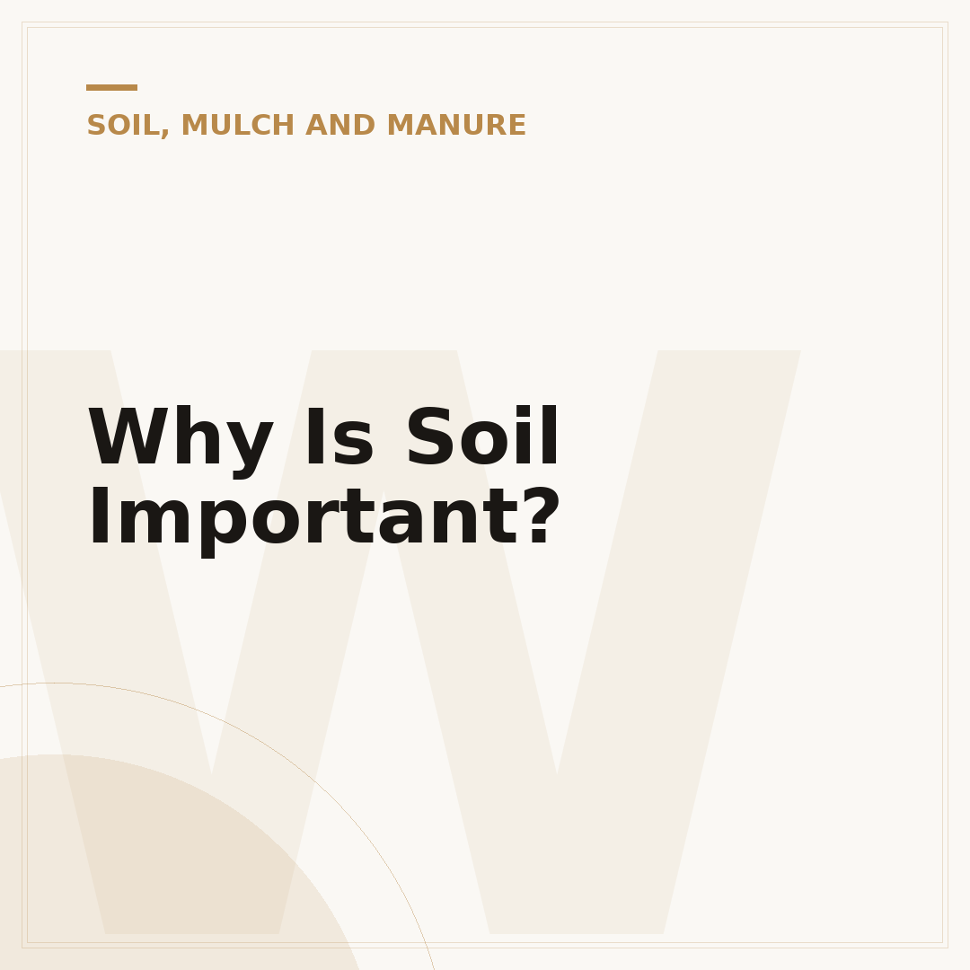 Why Is Soil Important?