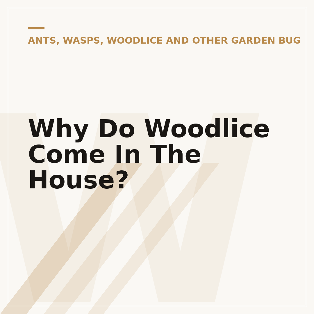 Why Do Woodlice Come In The House?