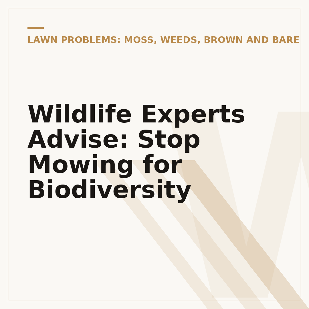 Wildlife Experts Advise: Stop Mowing for Biodiversity