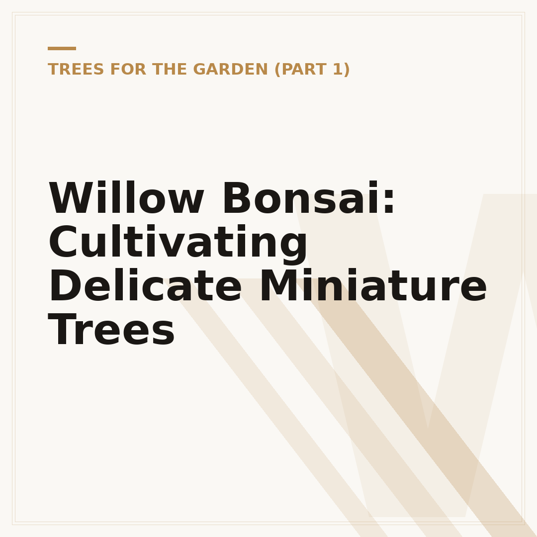 Willow Bonsai: Cultivating Delicate Miniature Trees