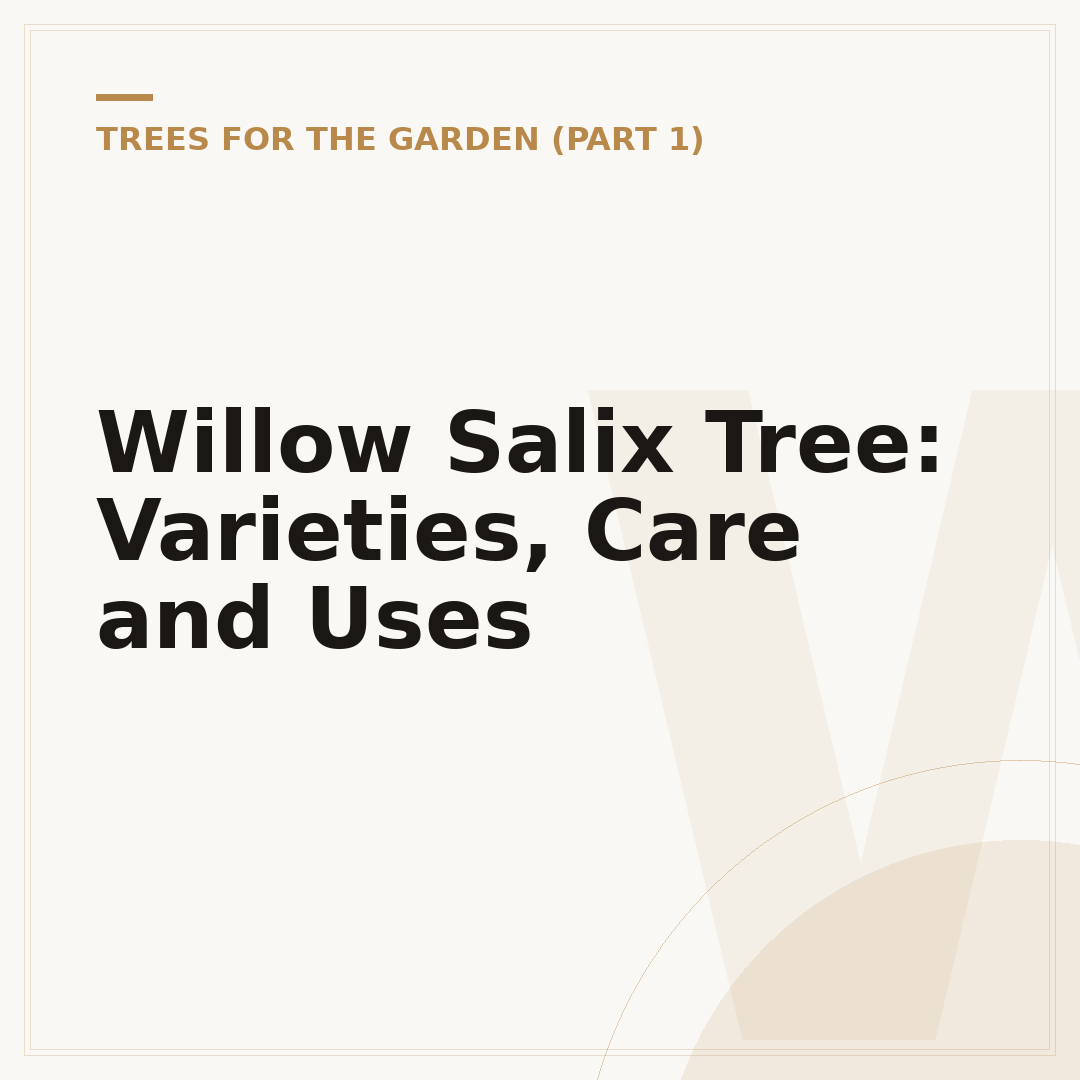 Willow Salix Tree: Varieties, Care and Uses