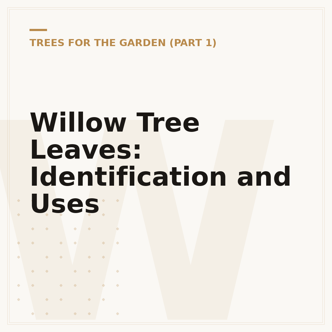 Willow Tree Leaves: Identification and Uses