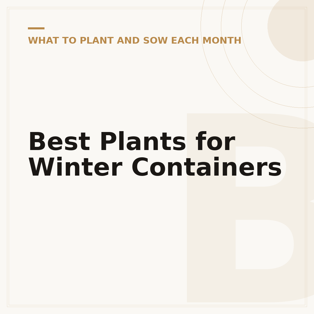 Best Plants for Winter Containers