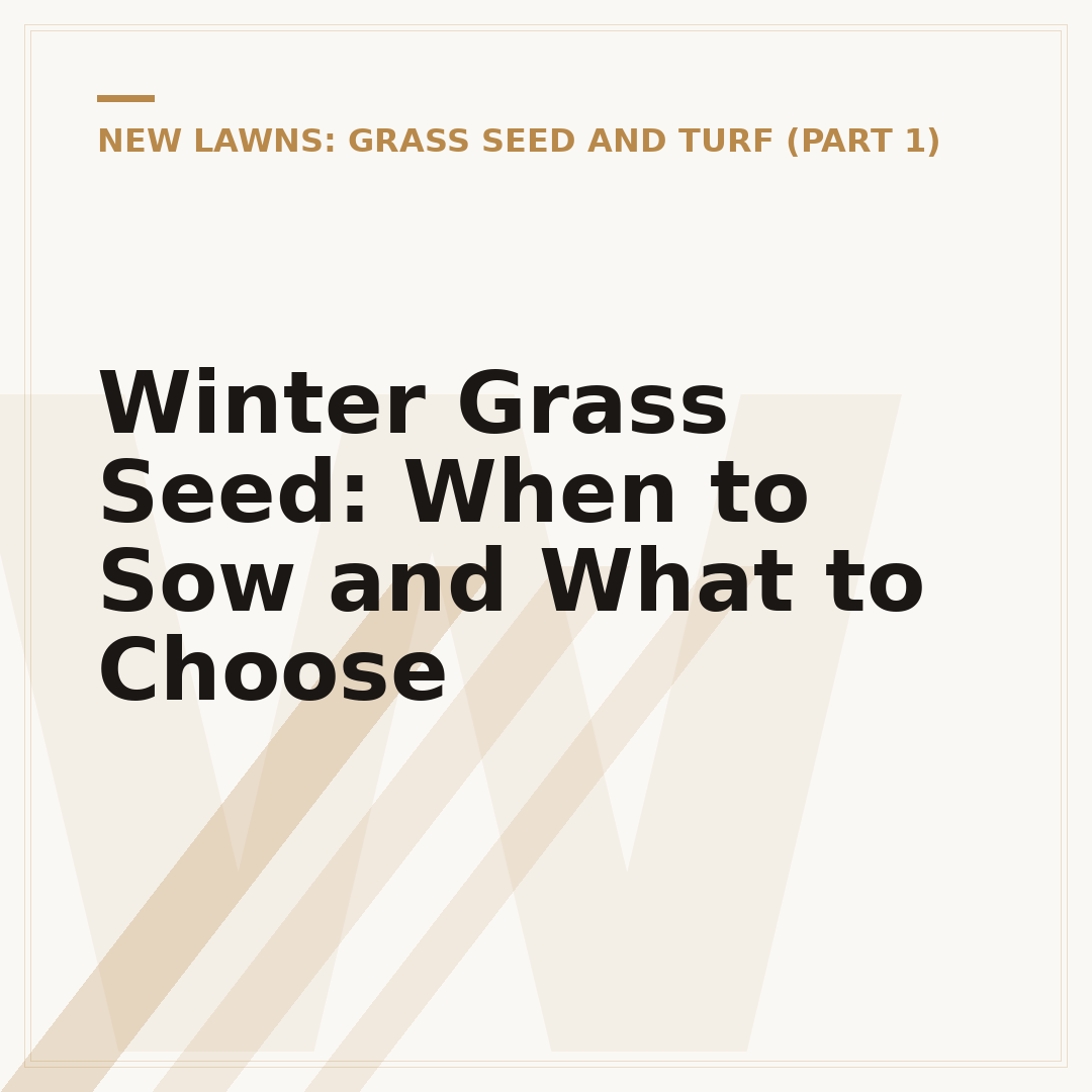 Winter Grass Seed: When to Sow and What to Choose