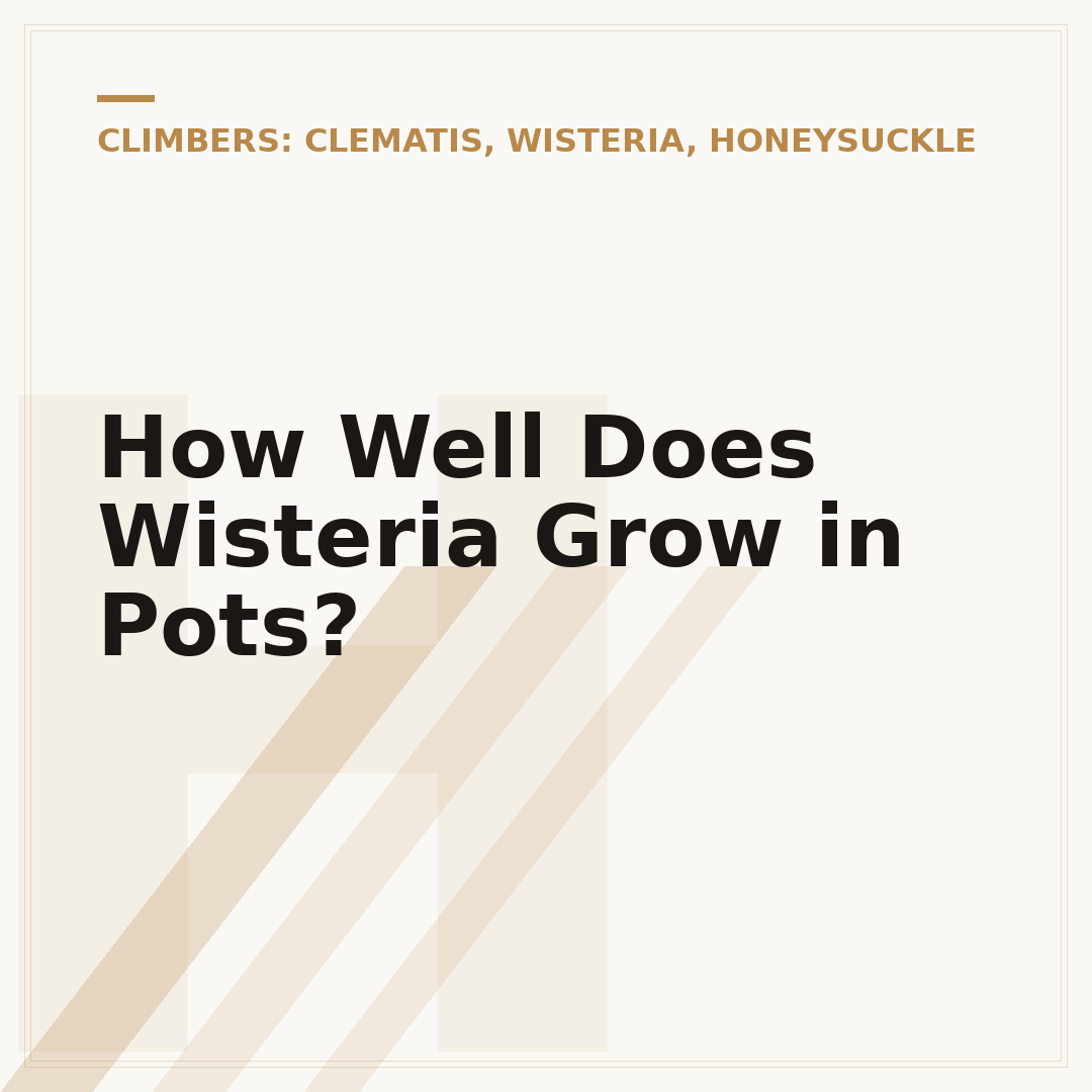 How Well Does Wisteria Grow in Pots?