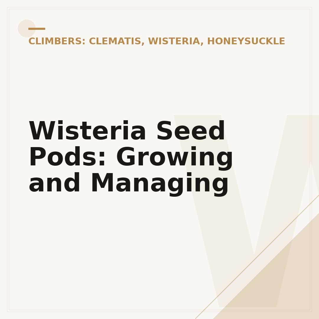 Wisteria Seed Pods: Growing and Managing