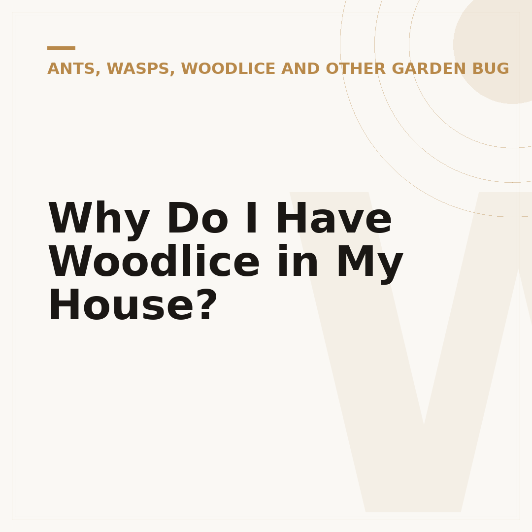 Why Do I Have Woodlice in My House?