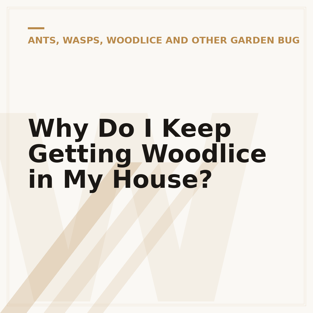 Why Do I Keep Getting Woodlice in My House?