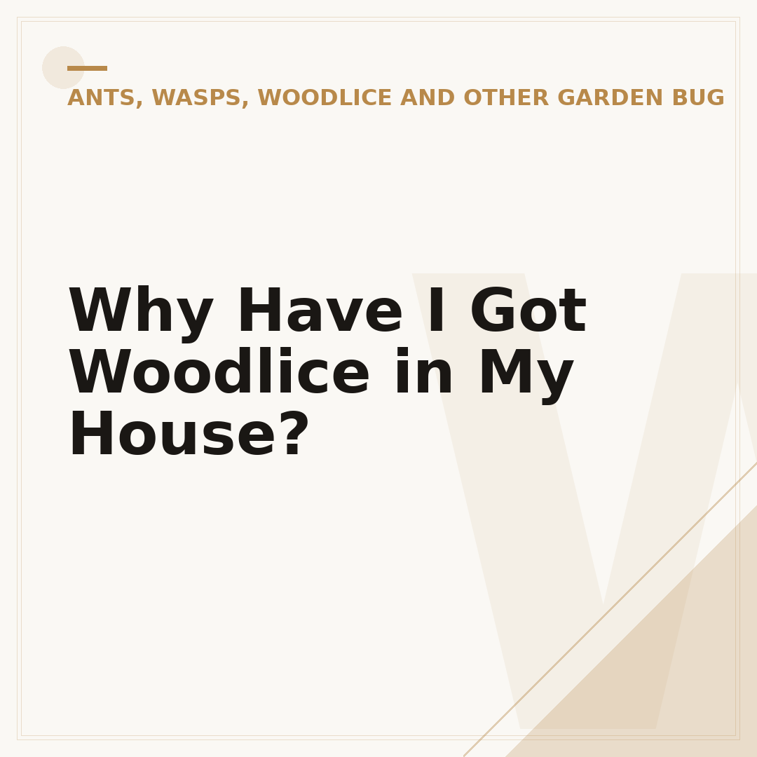 Why Have I Got Woodlice in My House?