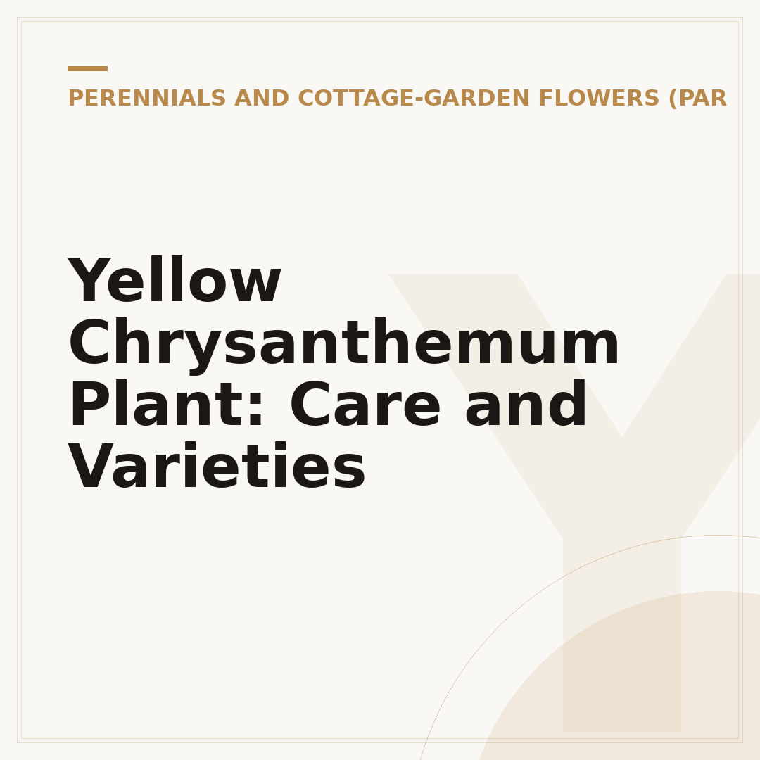 Yellow Chrysanthemum Plant: Care and Varieties