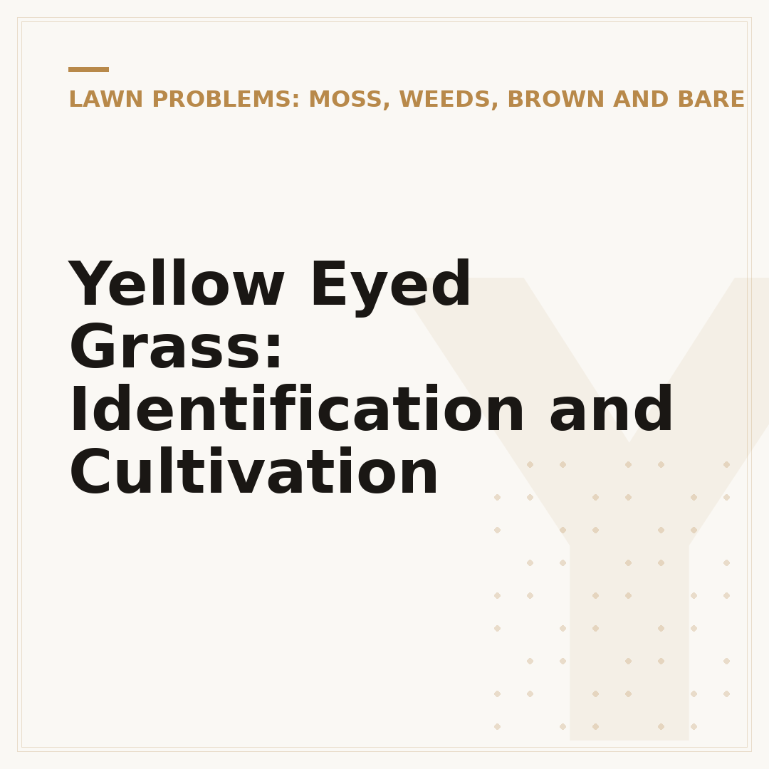 Yellow Eyed Grass: Identification and Cultivation