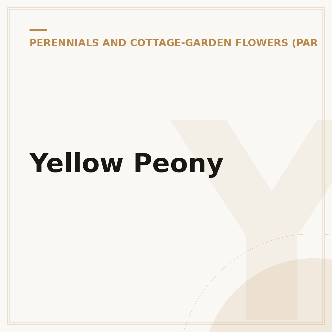 Yellow Peony