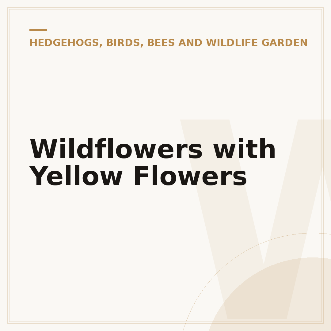 Wildflowers with Yellow Flowers