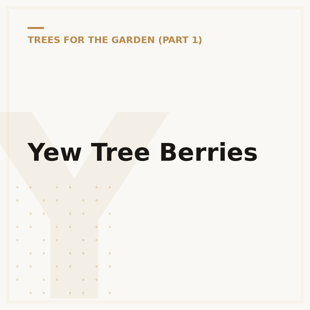 Yew Tree Berries