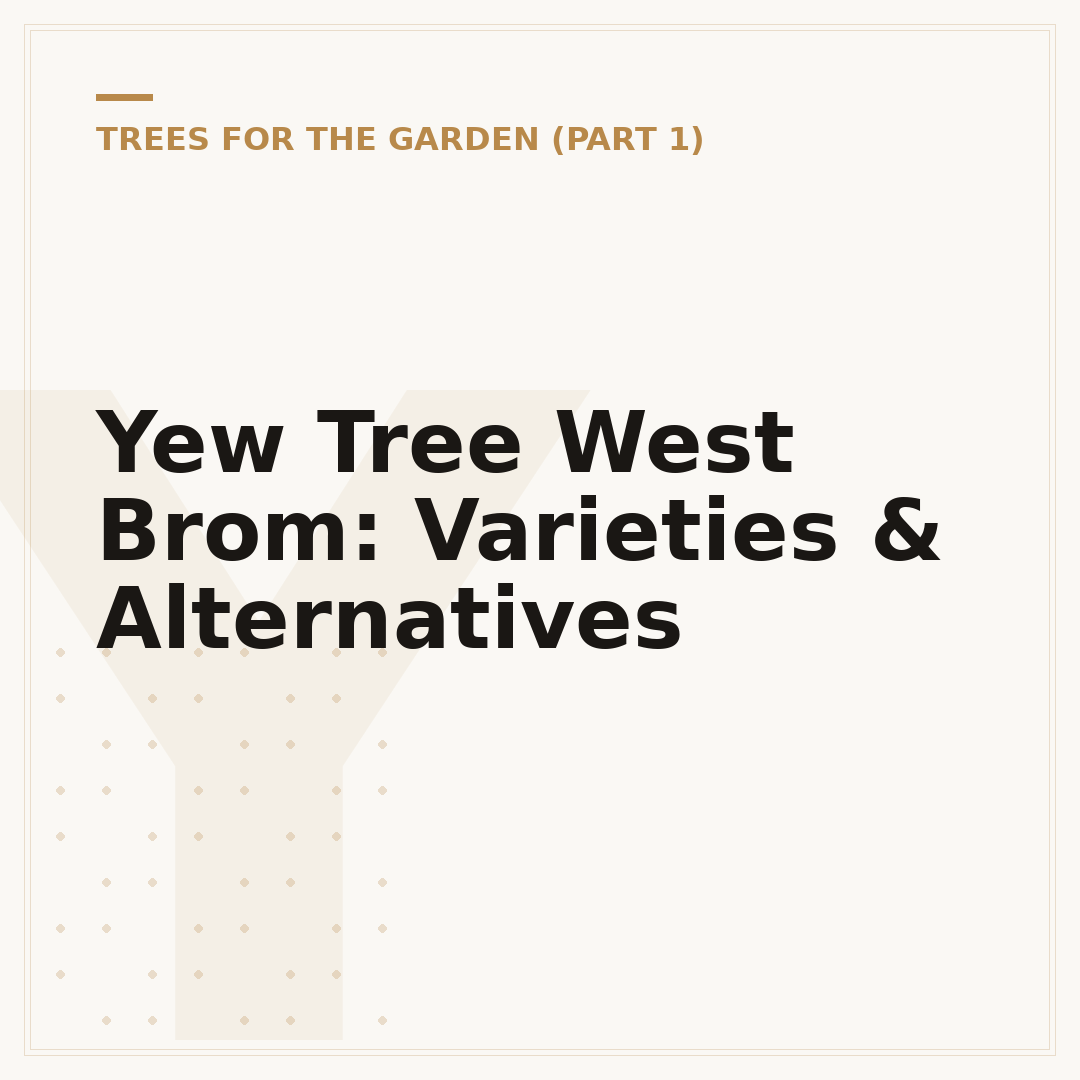 Yew Tree West Brom: Varieties & Alternatives