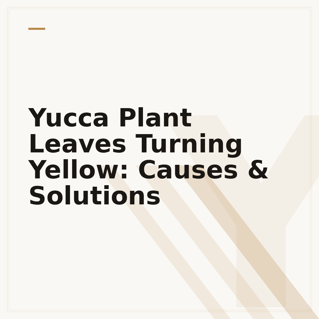 Yucca Plant Leaves Turning Yellow: Causes & Solutions